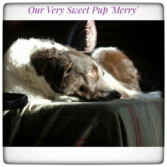 Sharing a Love of Art and Fashion - Picture 6 of 8